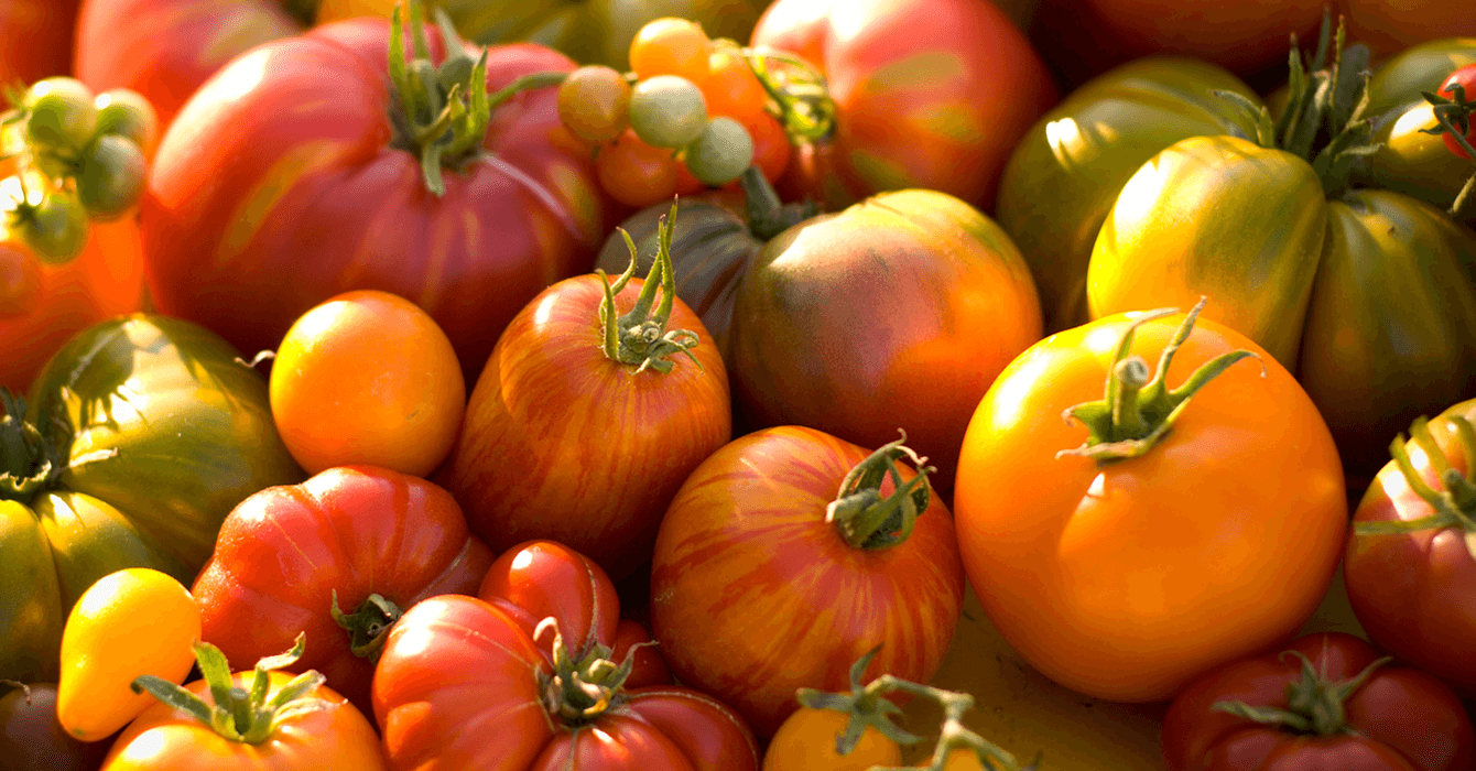 ripe heirloom tomatoes