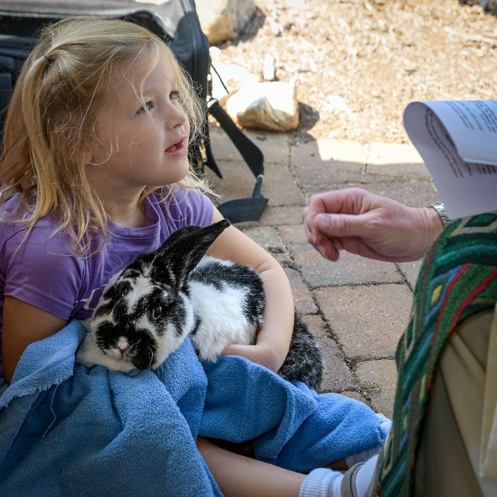 A girl holding a bunny