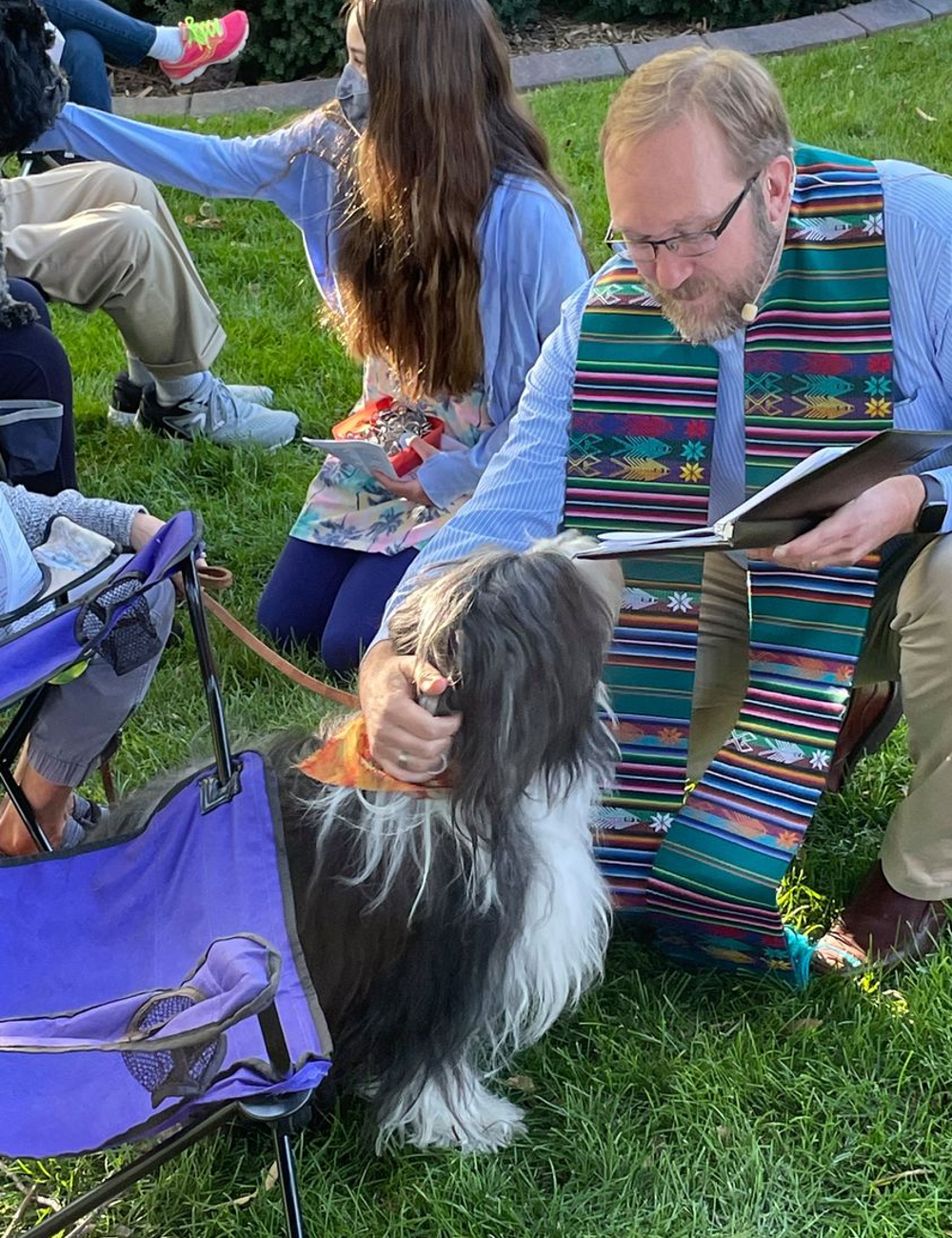 image of a man blessing a dog