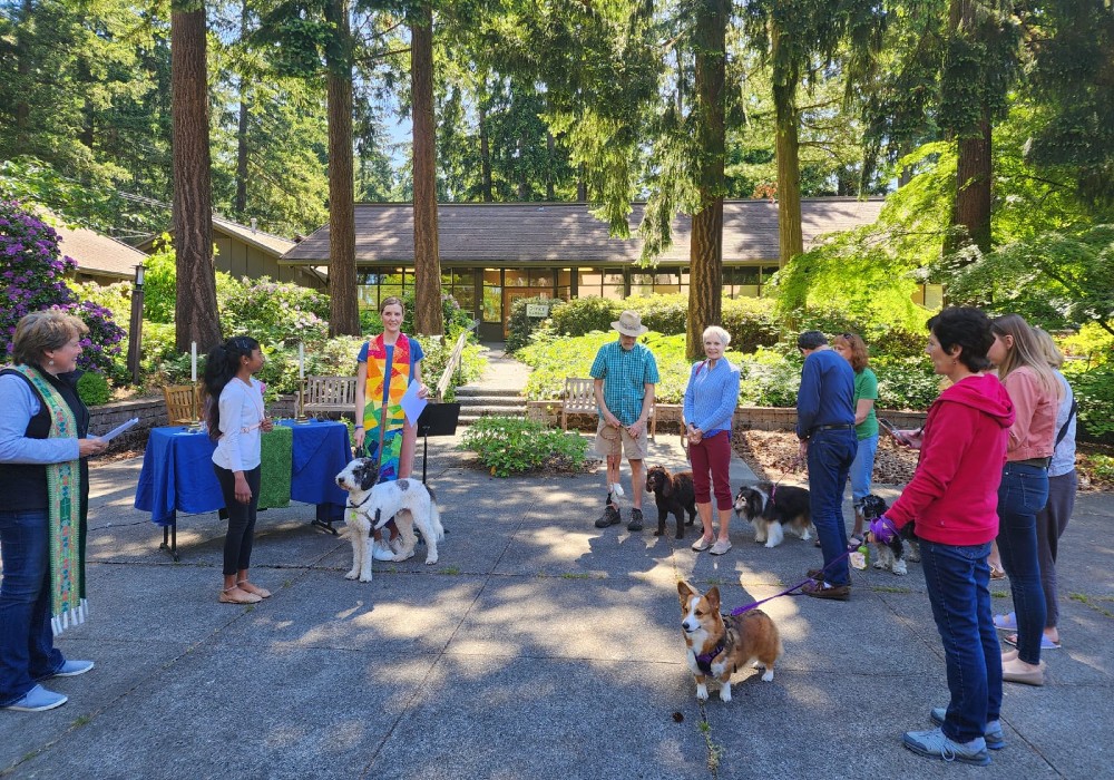 Image of a group of people standing around dogs