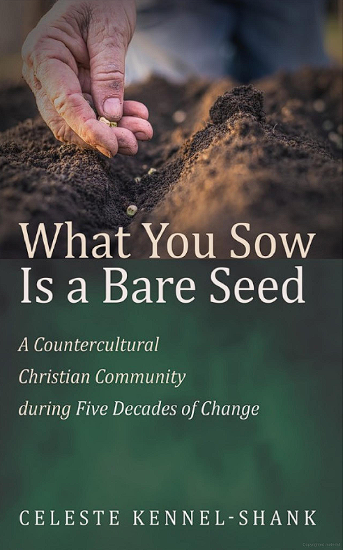 Bare Seed book cover