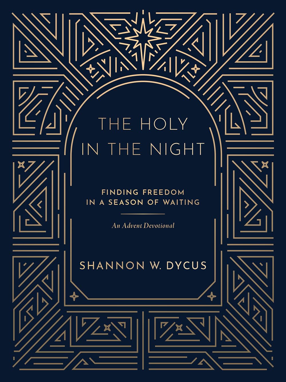 Holy in the Night book cover