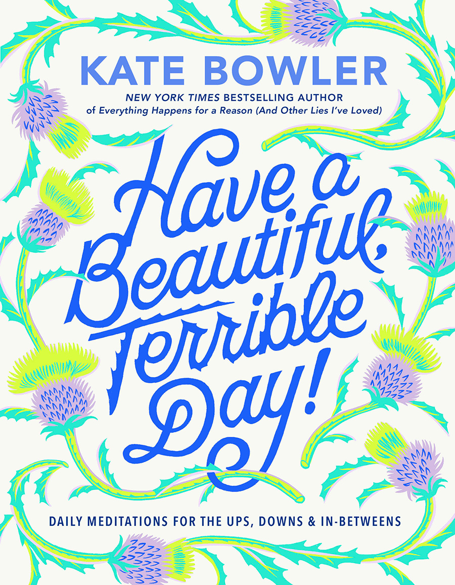 Have a Beautiful Terrible Day book cover