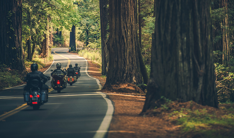 bikers on a shaded road in California