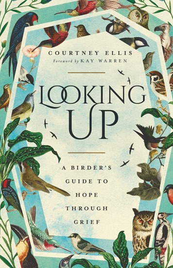 image of the book cover of "Looking Up"