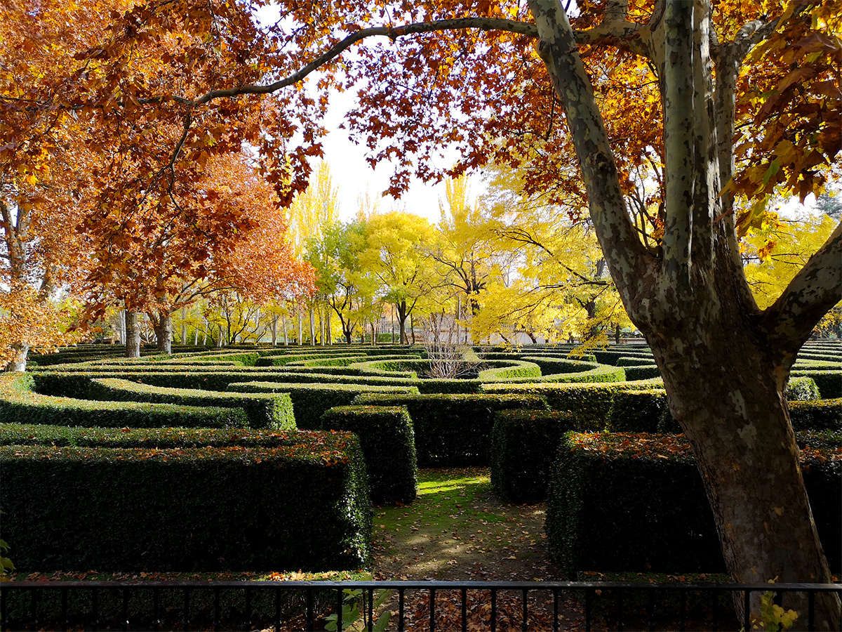 a labyrinth in fall