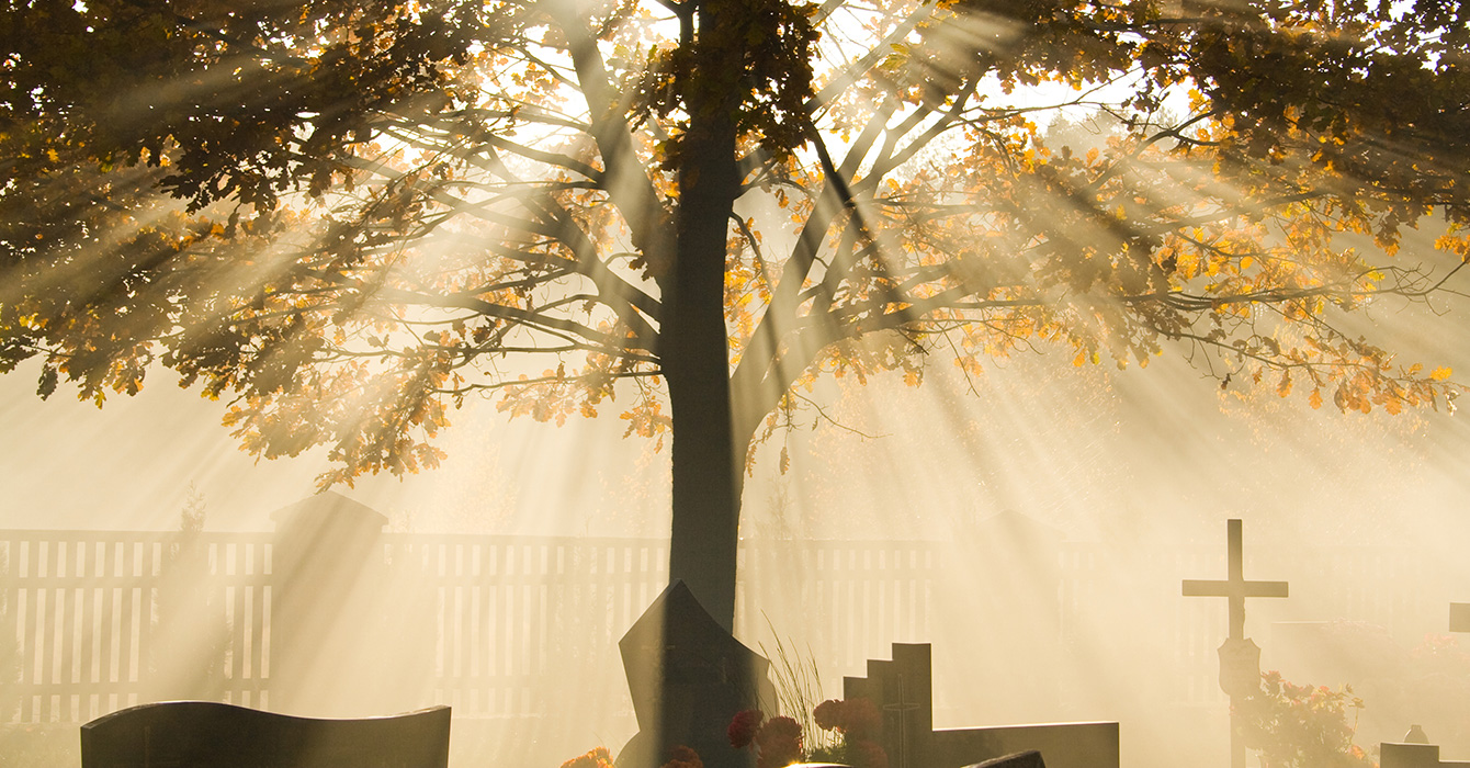 Sunlight streaming into a cemetery with trees and headstones