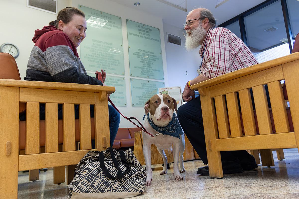 A veterinary chaplain meets with a dog and its owner 