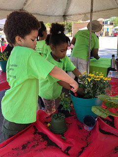 Kids potting plants