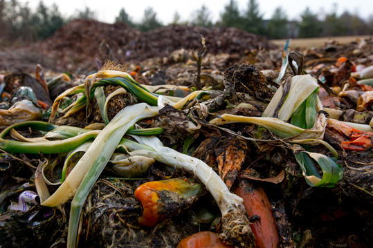 Compost heap