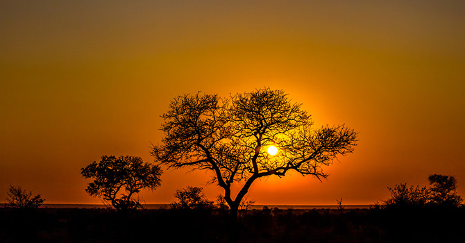 bigstock-African-sunset-94599533_m.jpg