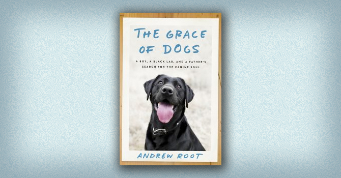 Image link to article: Excerpt: The Grace of Dogs